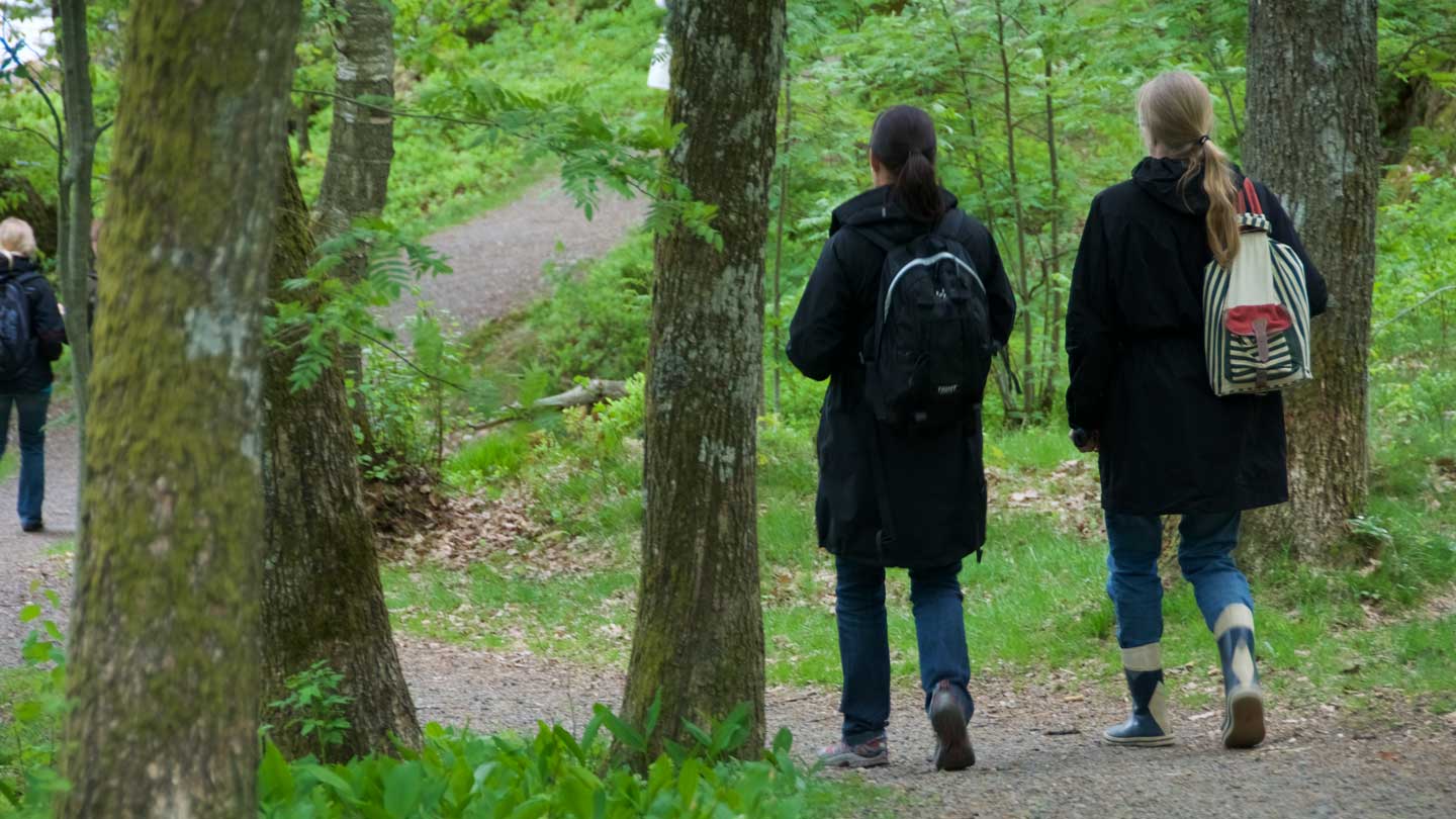 Ett arbetslag från Svenska kyrkan på brainwalk i Gunneboskogen